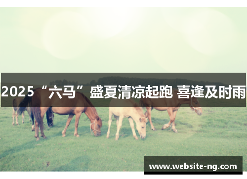 2025“六马”盛夏清凉起跑 喜逢及时雨